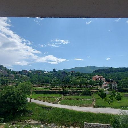 Apartman Nature Zvecanje Zewnętrze zdjęcie