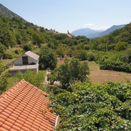 Apartman Nature Zvecanje Zewnętrze zdjęcie