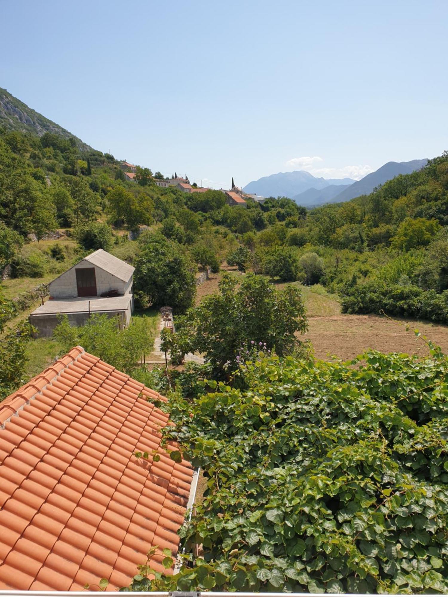 Apartman Nature Zvecanje Zewnętrze zdjęcie